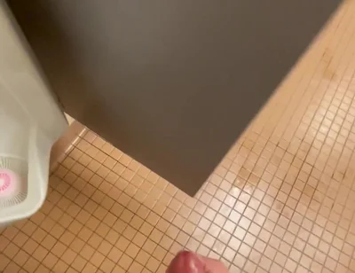 Mall Bathroom Exposed and Cumming