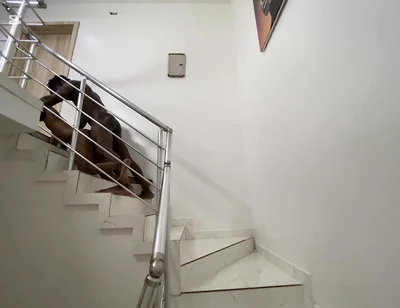 It’s Has Been a While