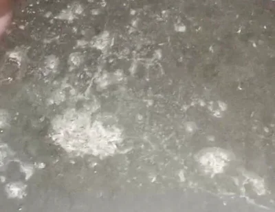 Indian Boy Black Dick Masturbate and Cum