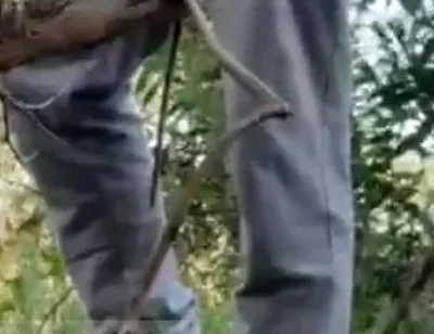 Hot Amateur Boy Sucks and Rims in the Woods