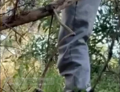 Hot Amateur Boy Sucks and Rims in the Woods