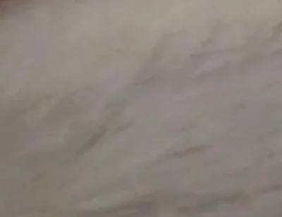 New Cum Video with Vibrating Dildo in My Ass