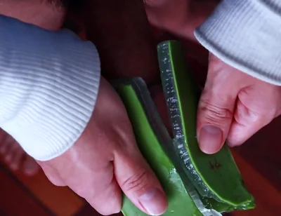 Using Aloe Vera as a Fleshlight