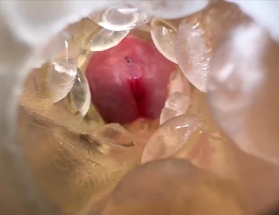 Huge Creampie with Internal View While Fucking Fleshlight, Moaning and Dirty Talking