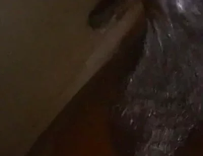 Wow These Balls Are Really Huge I Love Wanking Them