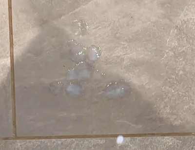 My Mate Watched My Jerk off and Cum in a Busy Supermarket