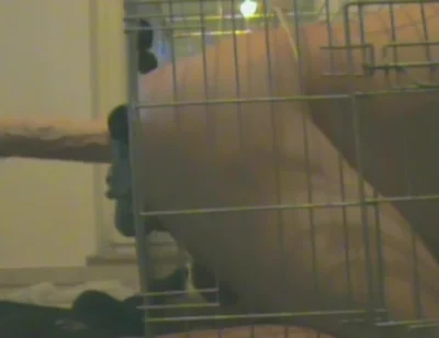 Slave in Cage Gets Anal Used