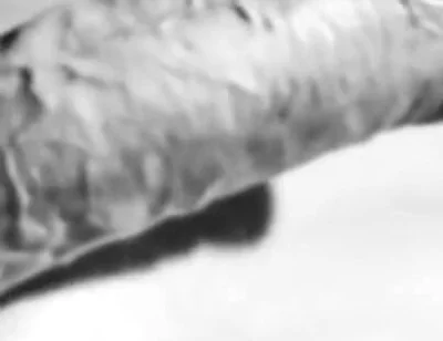 Revealing My Big White Hard Cock