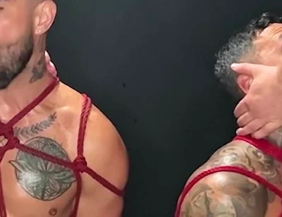 Wrecking the Couple P1