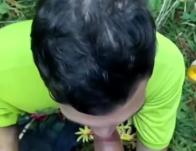 Two Males of Large Piroca Making Blows in the Forest.