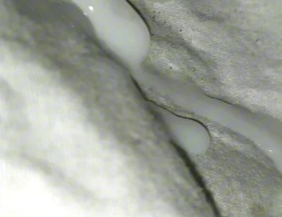 Huge Sperms Out of His Penis, an Young Boy