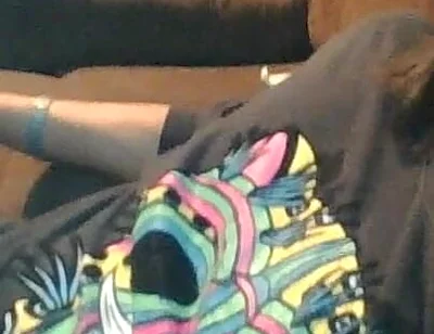 Damn Desire I Have in Bed