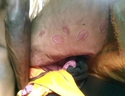 Boy Fuck Free Pussy and Cum Very Good