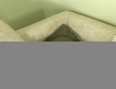 Daddy Chain: Dillon and Ross