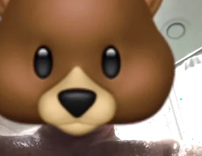 Stepdaddy Bear Body