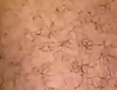 Deepthroat Fierce and Unforgiving