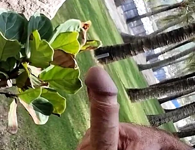 Public Beach Cock Flash