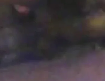 Thought was cowboy, But wrong Branco