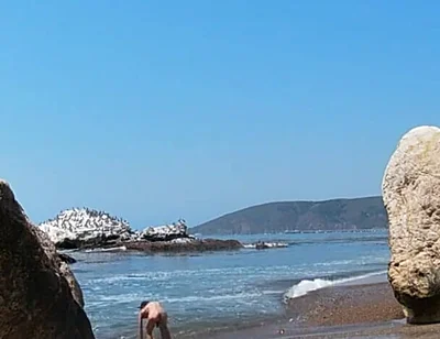 Sexy Time at the Nude Beach at Pirates Cove!