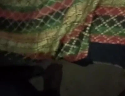 Mota or Kala Lund Big Black Cock