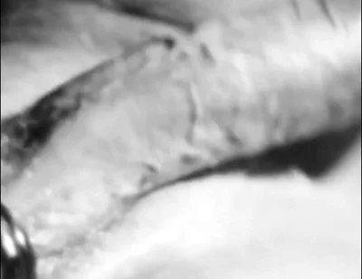 Unleashing My Hard Cock!