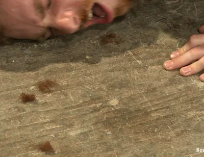 The Official Greeting of the Dom of the House