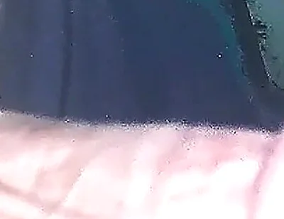 Exclusive Cumshot Video Boy Self Pleasure HD