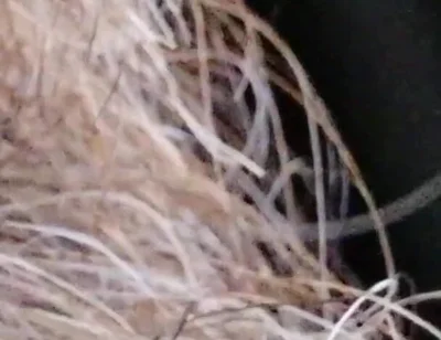 Kissing, Spitting on and Fucking My Stunt Mouth