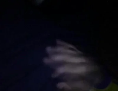 Sexy Man with Tremendous Cock Touching Himself on the Couch