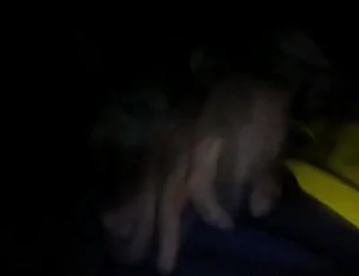 Boy Feels Very Hot on the Couch