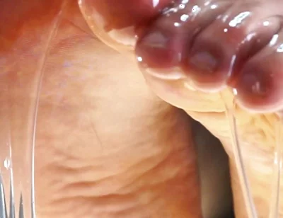 Addicted to Stinky Gym Socks