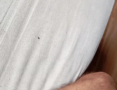 The Guy with His Cock Full of Semen After Cumming I Go Out to the Street with His Stained Pants