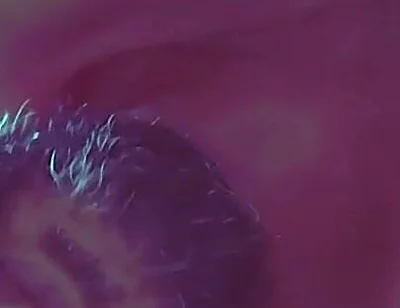 Foot, Armpits, Cum Soft Penis