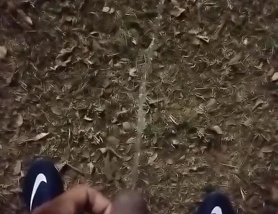 Outdoor Sex, of All Sexualities, Is Now Allowed in My Condominium