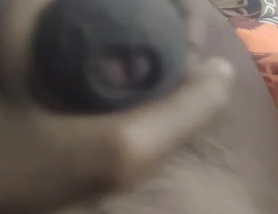 Aunty's Pussy Became Wet After Seeing My Penis.