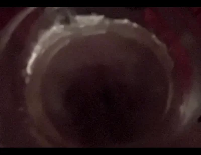 Imagine Your Arse Being My Sex Toy