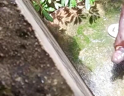 BBC Creampies on the Floor