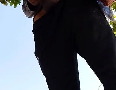 A Normal Day in the Park