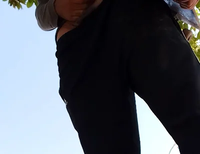 A Normal Day in the Park