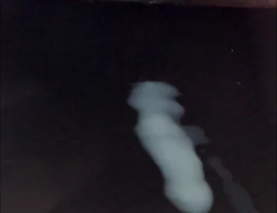 What Does Sperm Experience in Slow Motion?