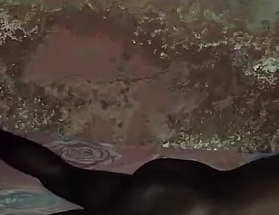 Nothing Bad Fucking Your Bed in Midnight