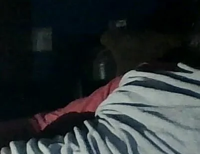 Viewing Models on the Pc