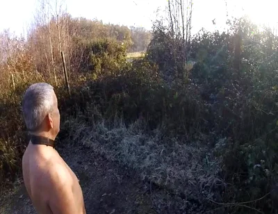 Wellingtons in the Woods