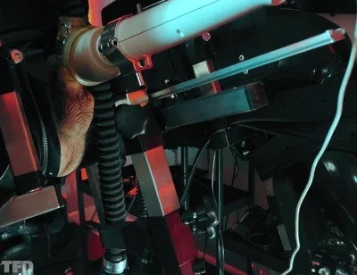 Rubber Discipline Revenge