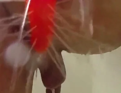 Using a Shower Spray Dildo