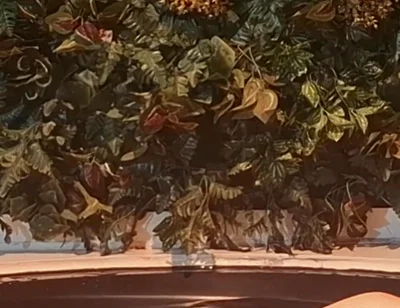 Bath Time Challenge - Bear Control in the Tub