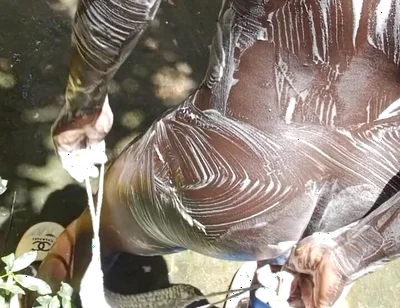 Heavy Wet and Slippery Huge Black Cock Wants to Cum on the Floor