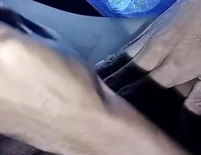 Young Boy Masturbate