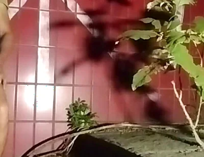 Breastfeeding Stranger on the Street