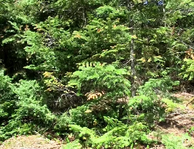 An Outdoor Cum Eruption!